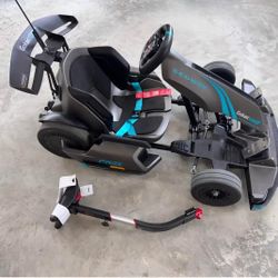  Segways Go-kart-Pro2