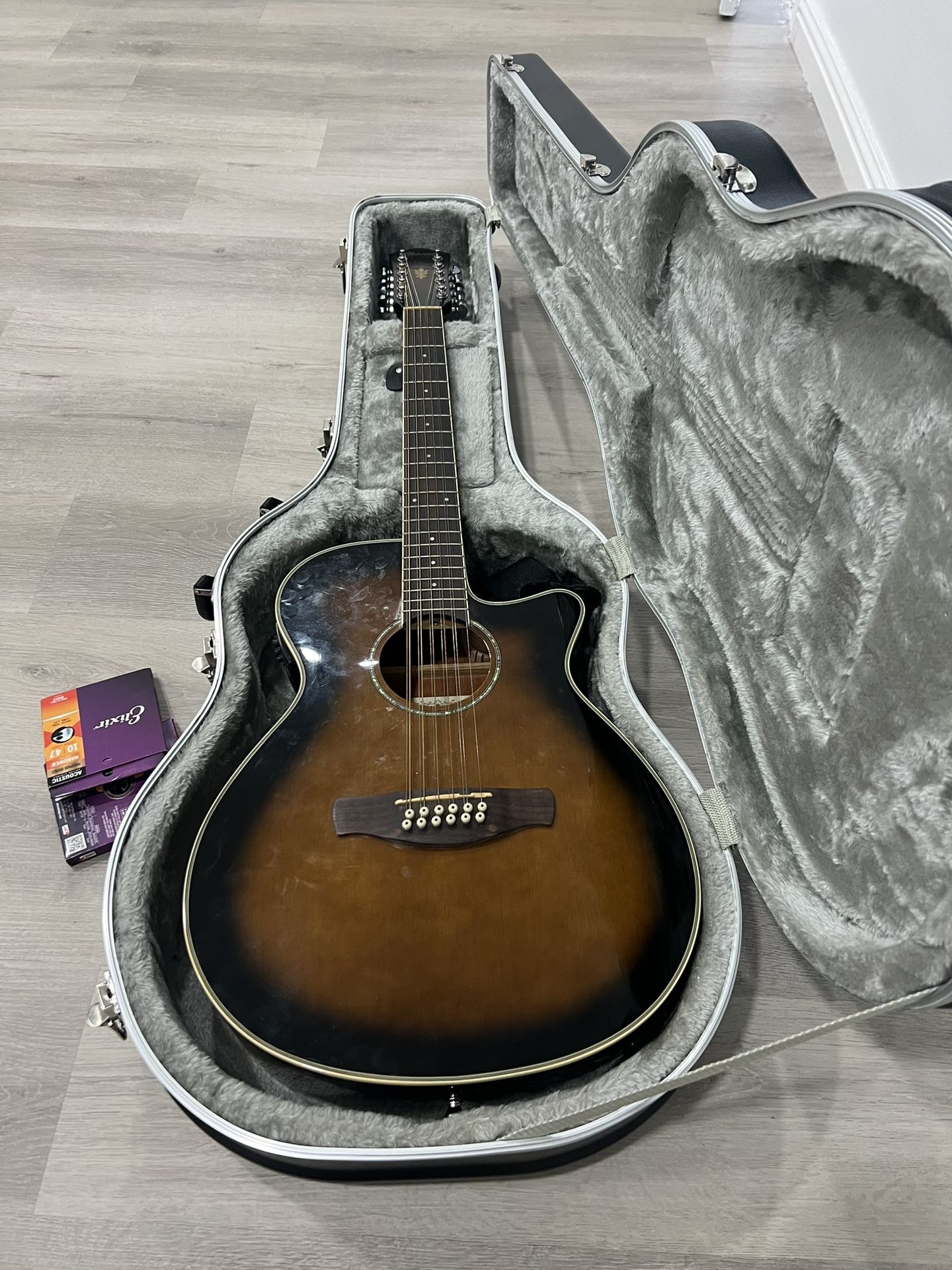 12 String Guitar Ibanez