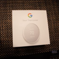 Google Nest (Snow)