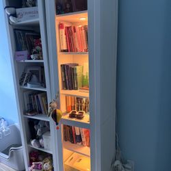 Bookcase From ikea