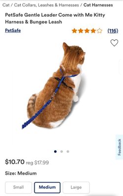 Pet Safe Come With Me Kitty Cat Harness With Bungee Leash