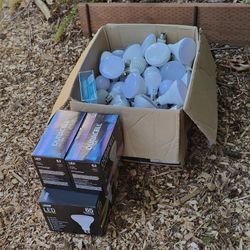 40 + Led Bulbs $10