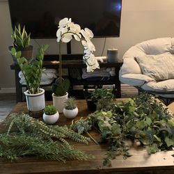 Variety Of Fake Plants/Greenery 