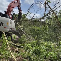 Land Clearing 