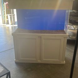 Fish Tank Aquarium Pecera