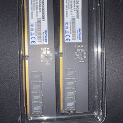 16GB x 2 Patriot DDDR5 5600MHz RAM sticks