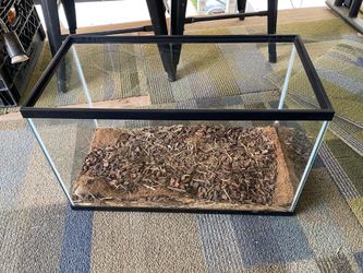 Reptile tank with no lid and lamps and fake rock