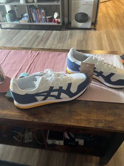 Asics Men Shoe Size10
