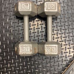 20 Lb Dumbells Pair 