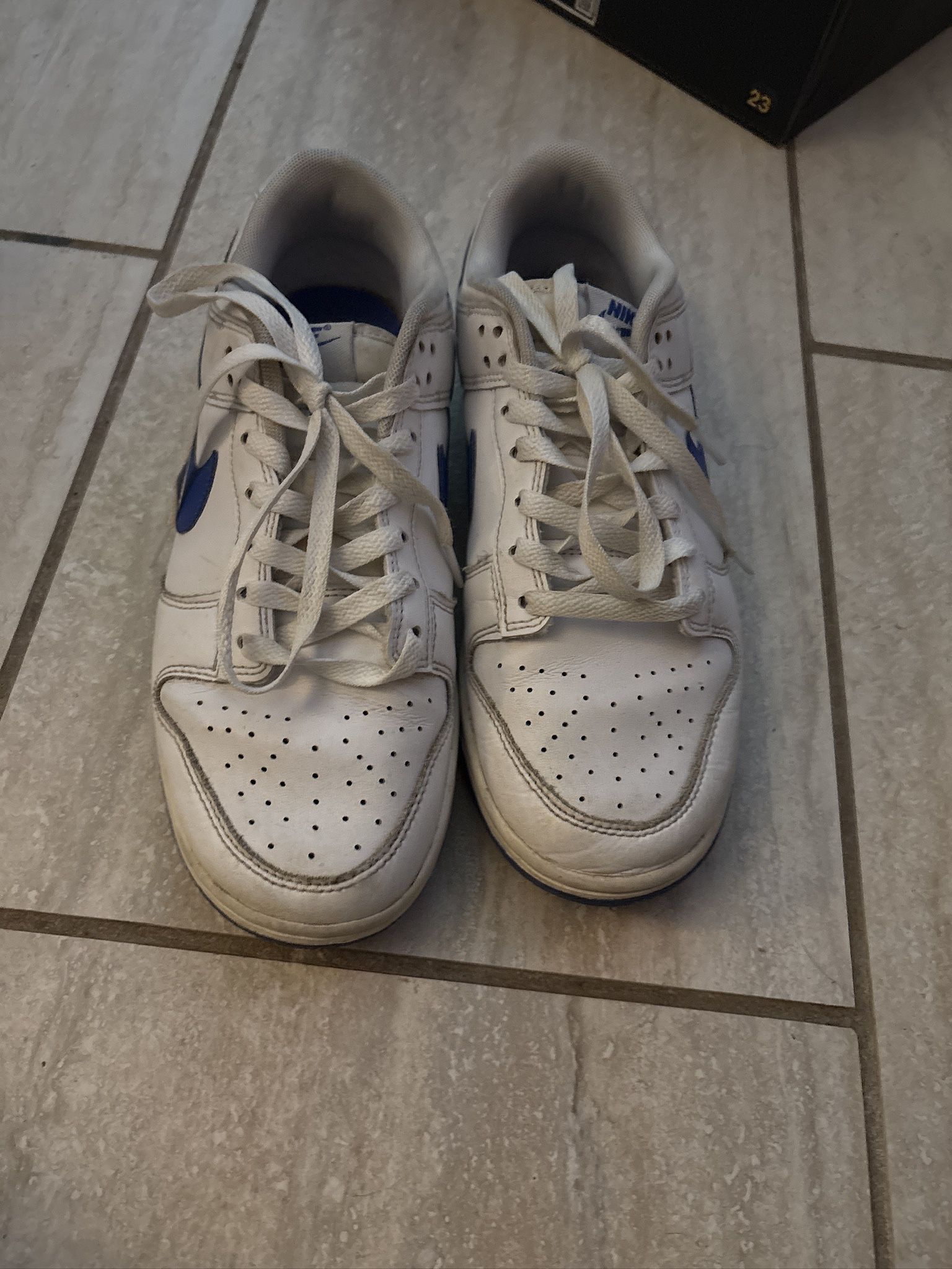 Nike Dunks Size 8 In Men’s 