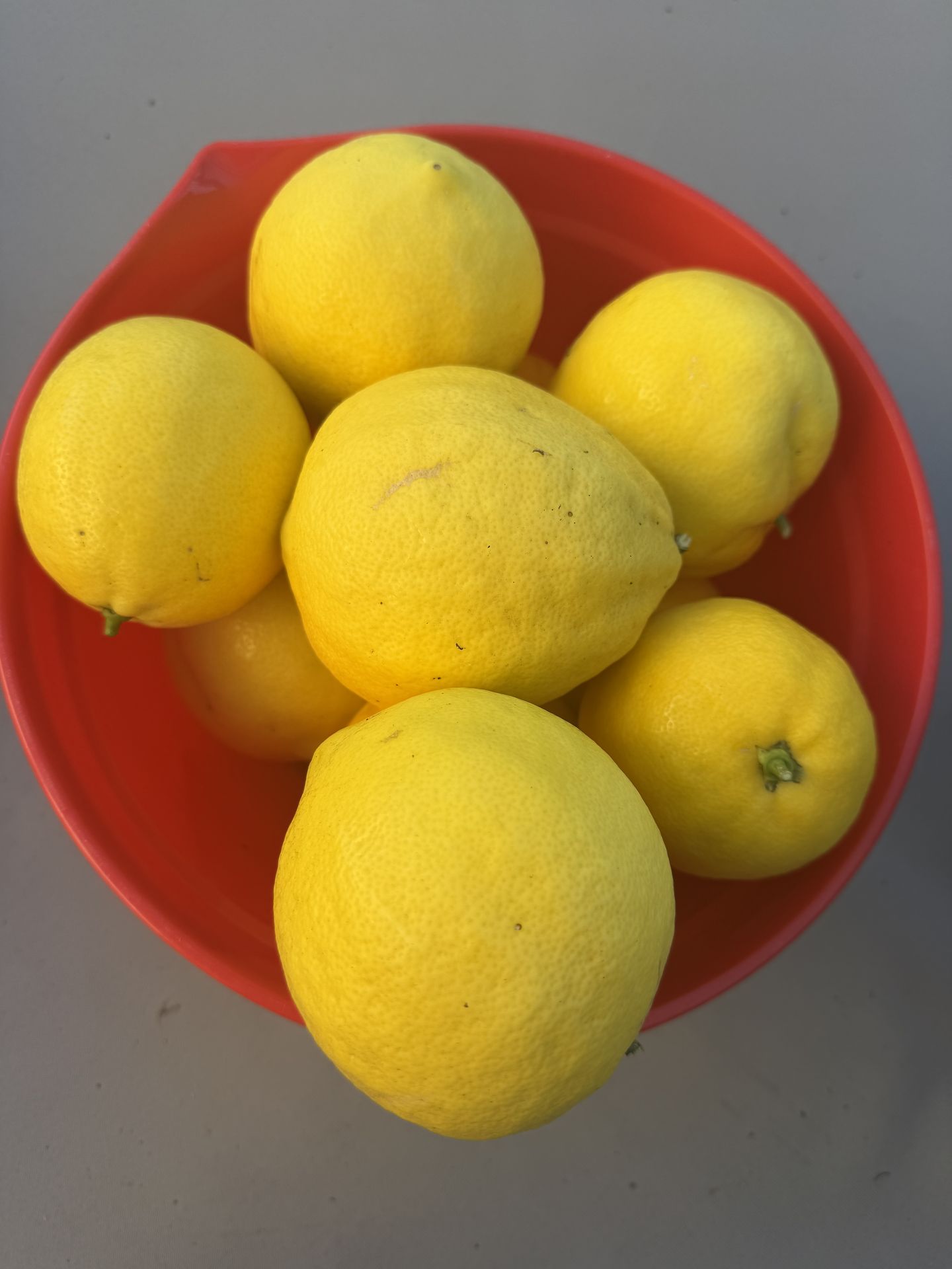 Organic big lemons