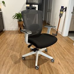Autonomous Ergo Chair