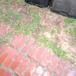 Black large heavy bins