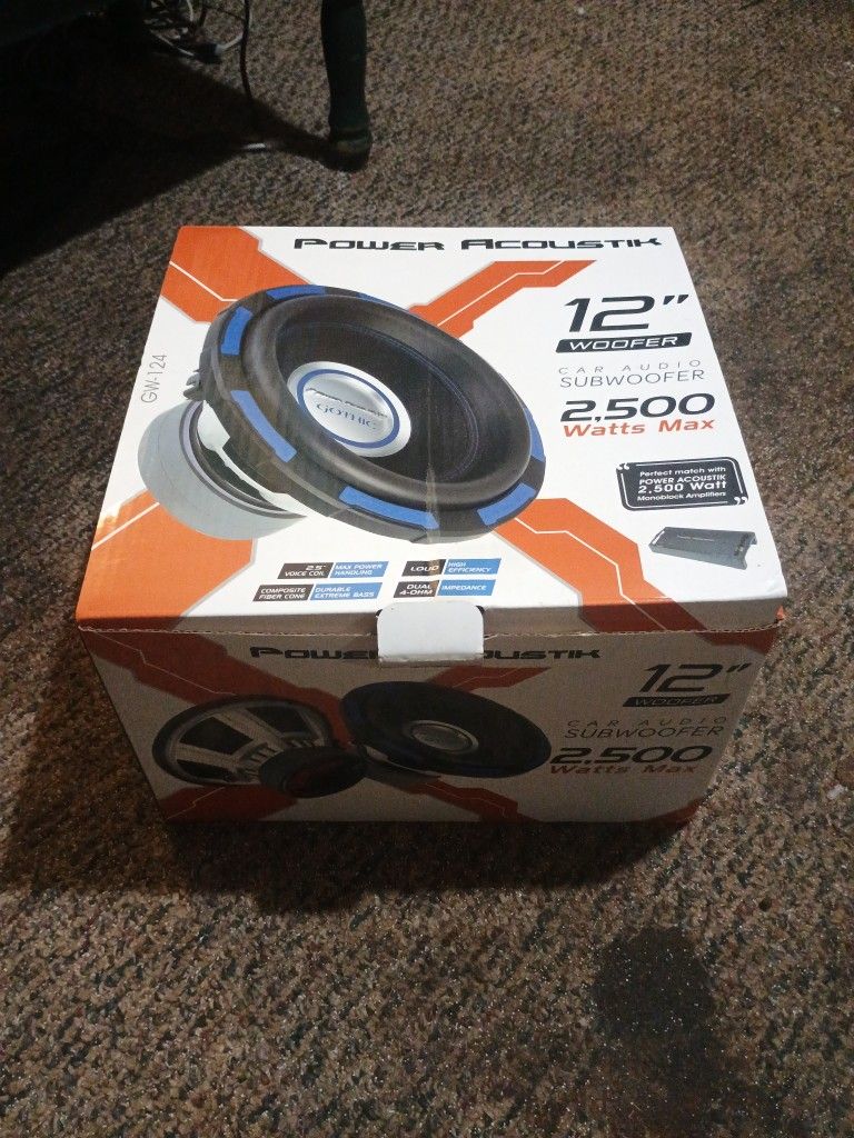 12 Inch Gothic Subwoofer Used
