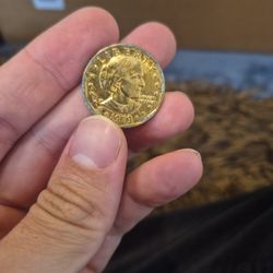 Susan B Anthony - Error 