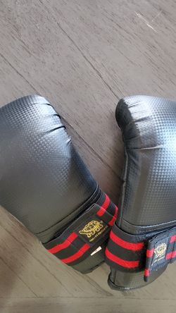 Karate Gloves