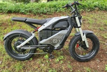 Segway cyber - e bike