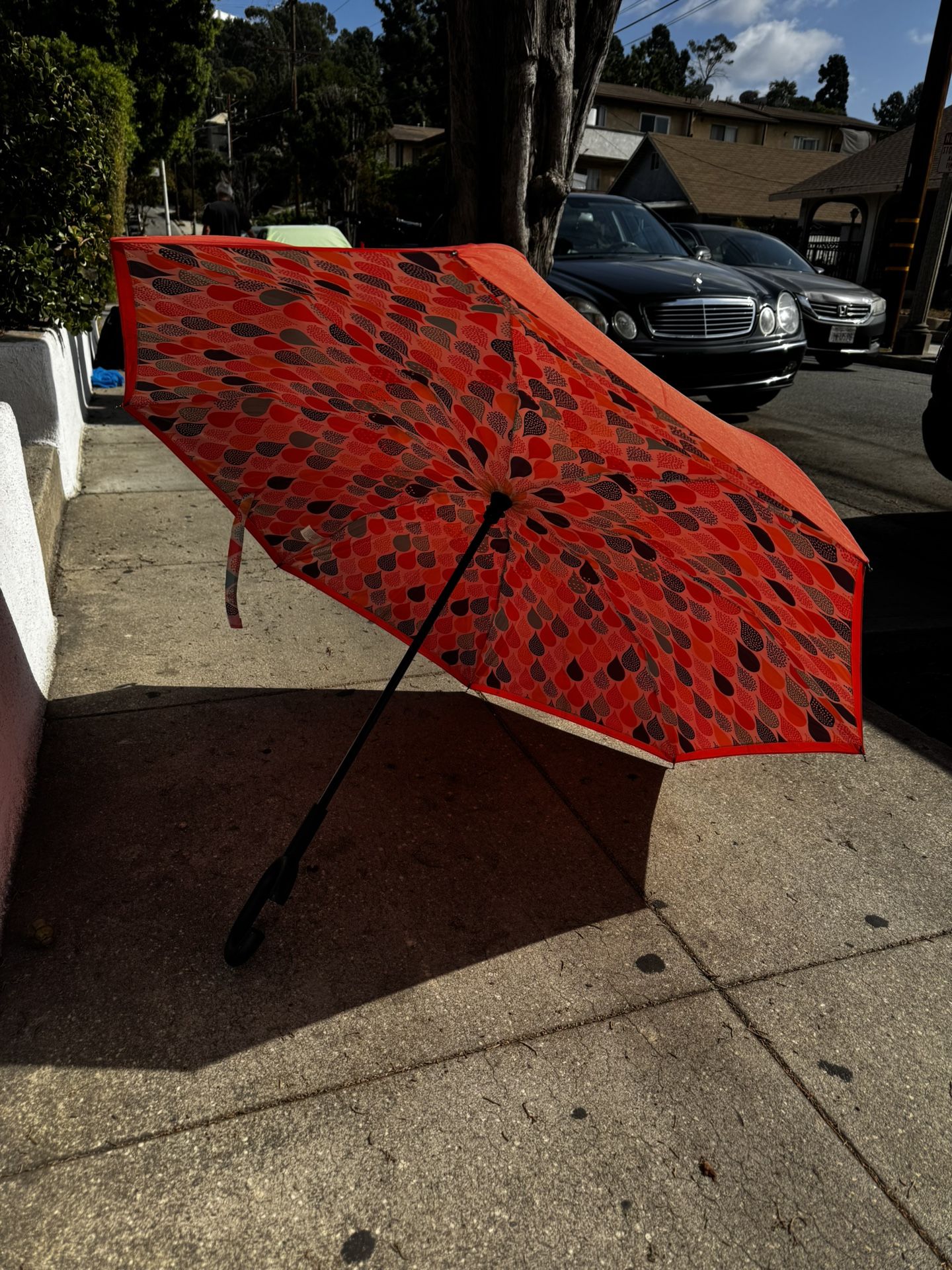Umbrella/ Woman