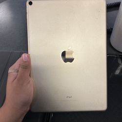 Gold iPad Pro 