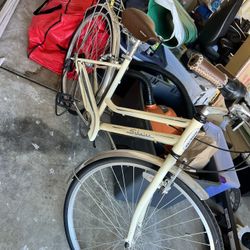 Schwin Bike