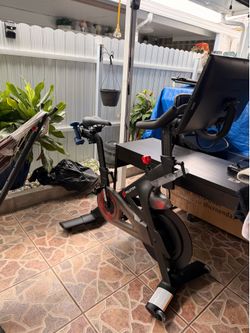 Peloton