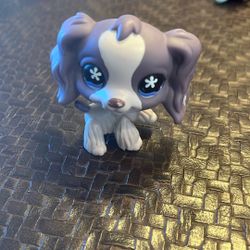 Littlest Pet Shop Authentic # 672 Purple Gray Spaniel Blue Flower Eyes