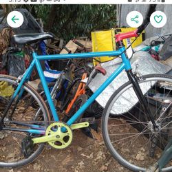 Fixed Gear Road Bike