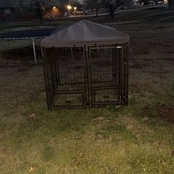 Dog Pen Never Used 