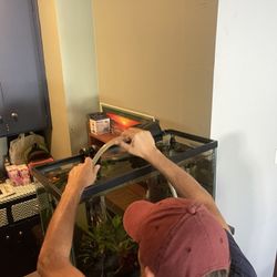 Aquarium Kit, Fish Tank With Everything Included