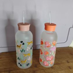 2 Cute Glass Water Bottles W/ Straws
