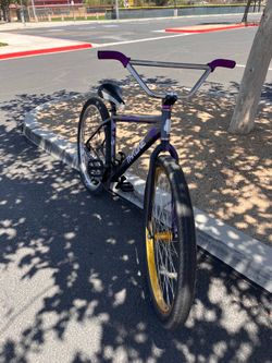 Throne 29er