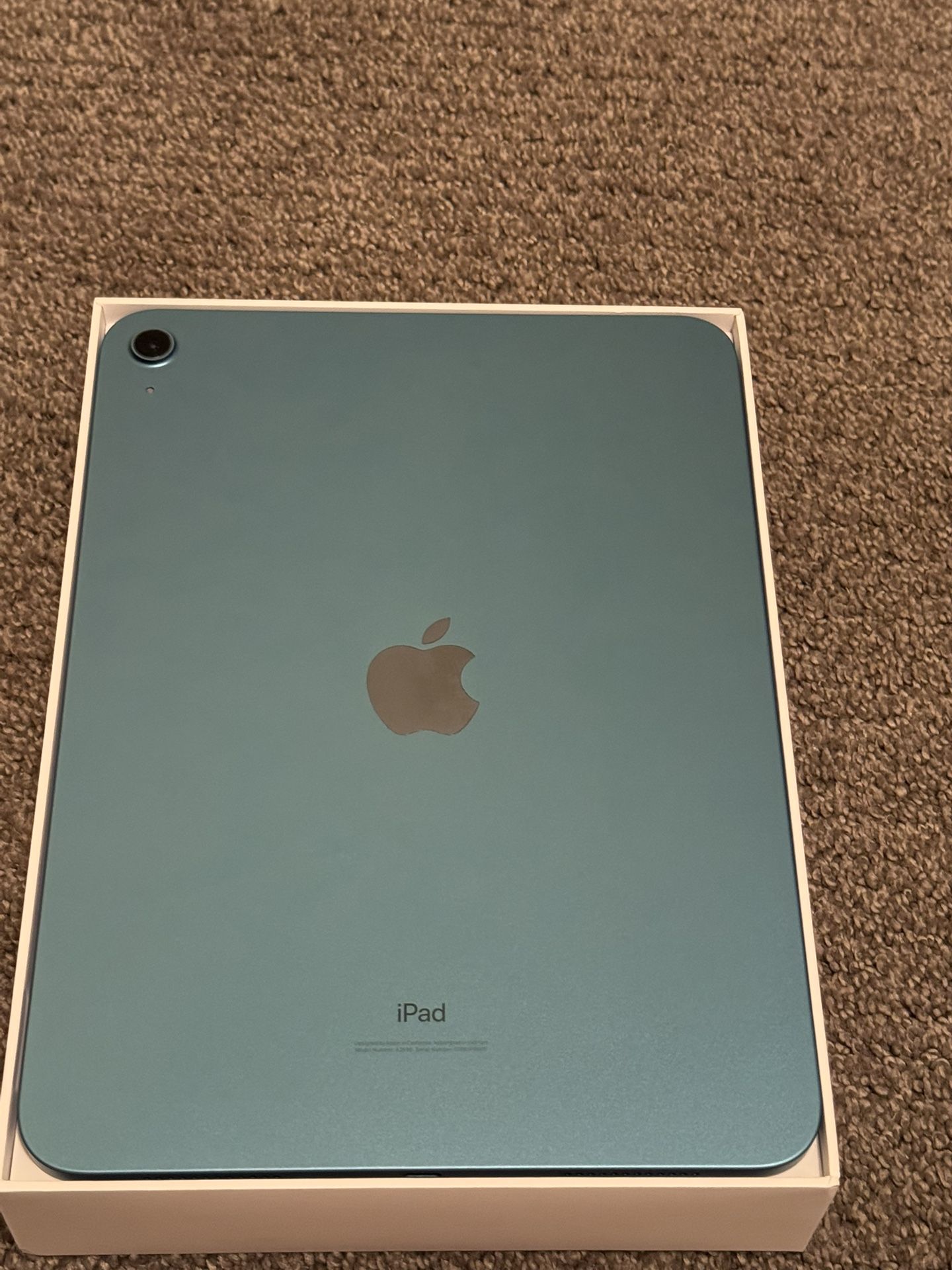Apple iPad 10.9-inch WiFi 256GB