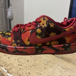 Wizard Of Oz “Poppy Field” SB Dunks 3y