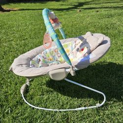 Winnie The Pooh Bouncer 