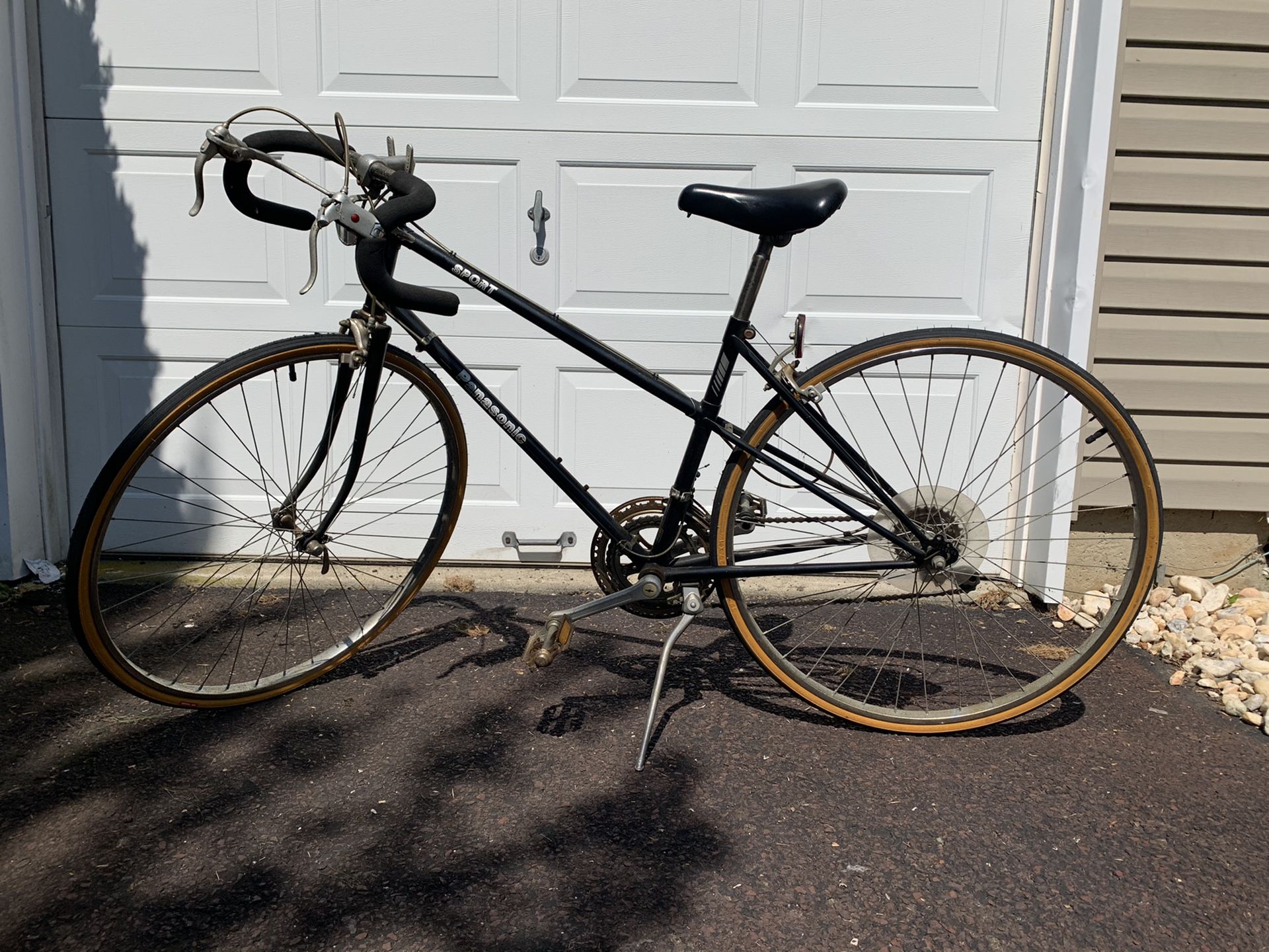 Panosonic sport 12 speed bicycle