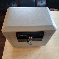 Sentry 1170 Fireproof Box Safe