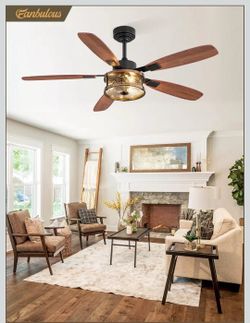 Fanbulous 52 inch ceiling fan with light