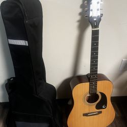 Epiphone DR-100