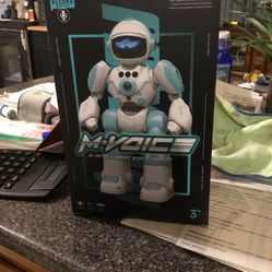 Intelligent Voice Robot