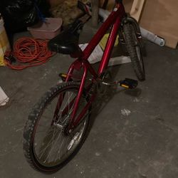 The bike is all good. It has brake brakes. It has a break with the pedals and the front tire is good, but the back tire is flat.