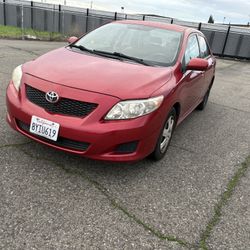 2010 Toyota Corolla
