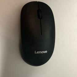 Mouse
