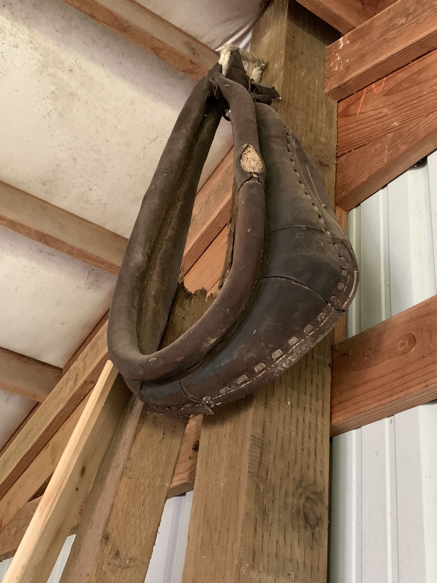 Horse haulter