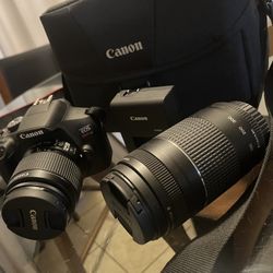 Canon Camera 