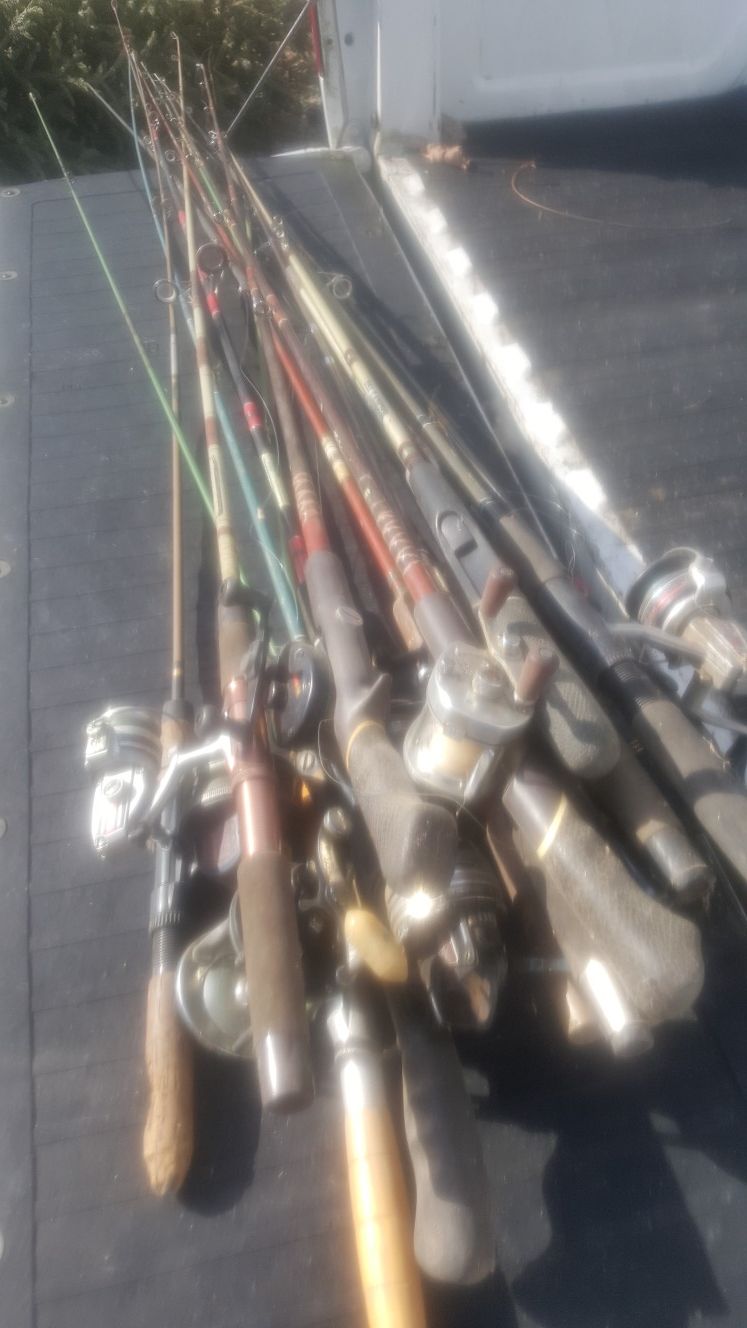 Fishing rod & reels