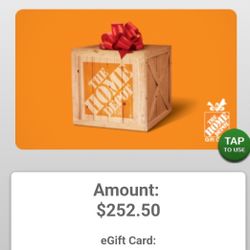 $252 Home Depot