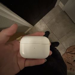 AirPod Pro Case