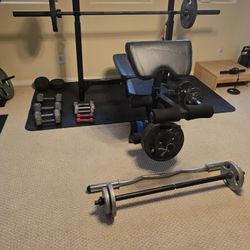 Marcy Weight Bench And Golds Gym Treadmill