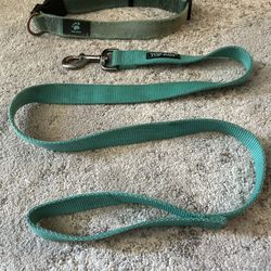 Mint Green Pet Collar BUNDLE