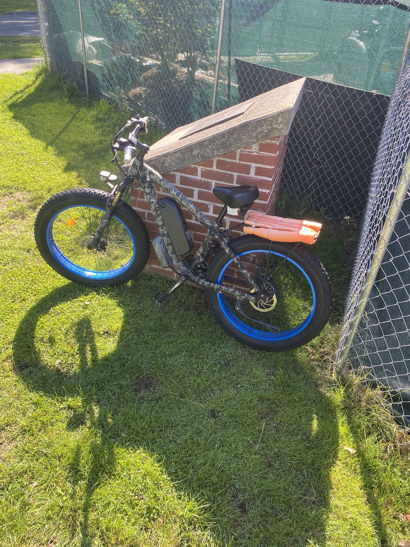 eleteic bike
